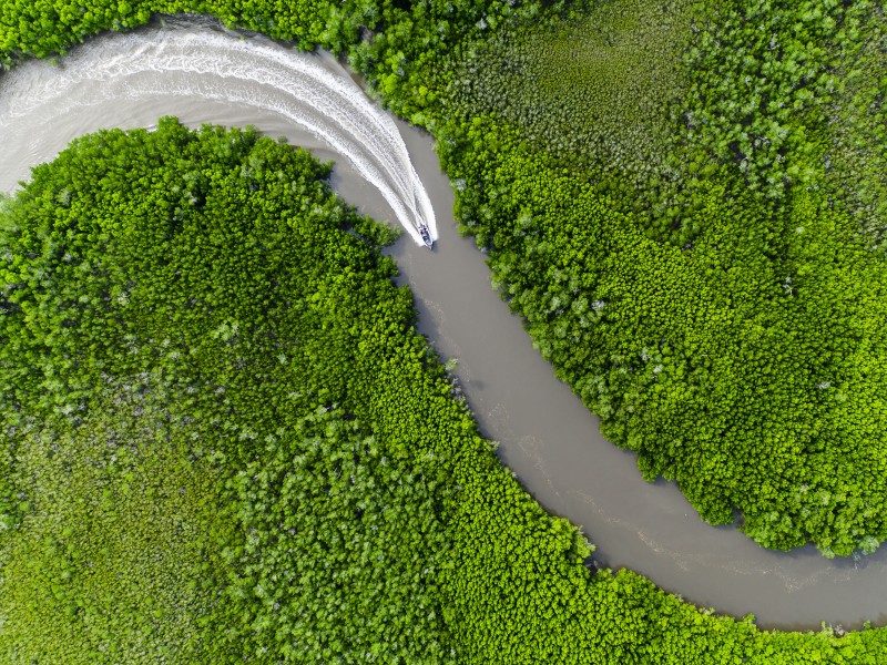 Boat traveling on a winding river